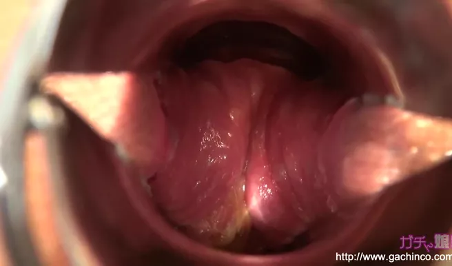 Голодные дырки азиатки удовлетворяются хуем и игрушками